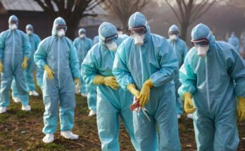 Bird Flu Symptoms Spread and Prevention